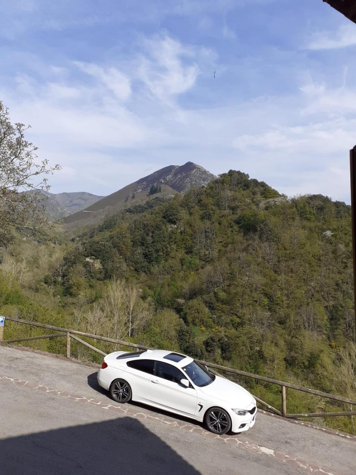 Casa Oso 1 Daire Pola de Somiedo Dış mekan fotoğraf